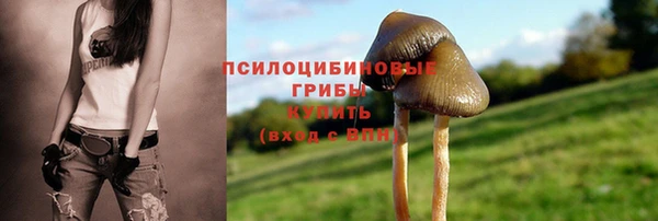сатива Абинск