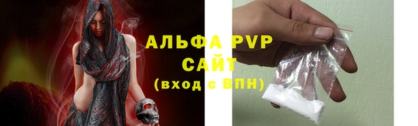 сатива Абинск