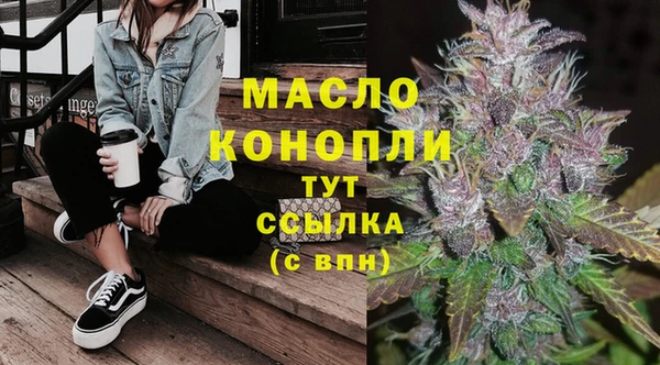 сатива Абинск
