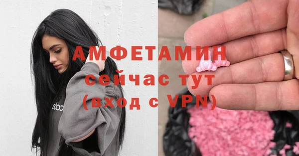 сатива Абинск